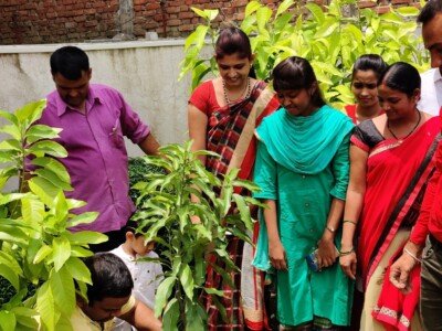World Environment Day 5 June 2019